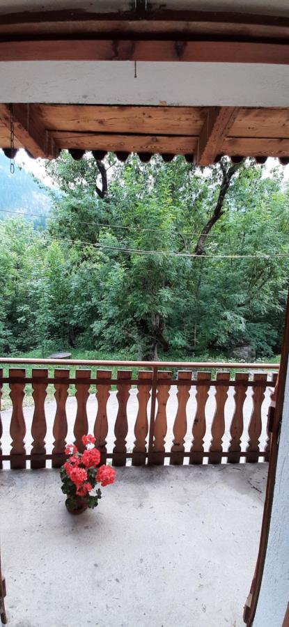 La Casa Del Gigante Frassino Daire Acceglio Dış mekan fotoğraf