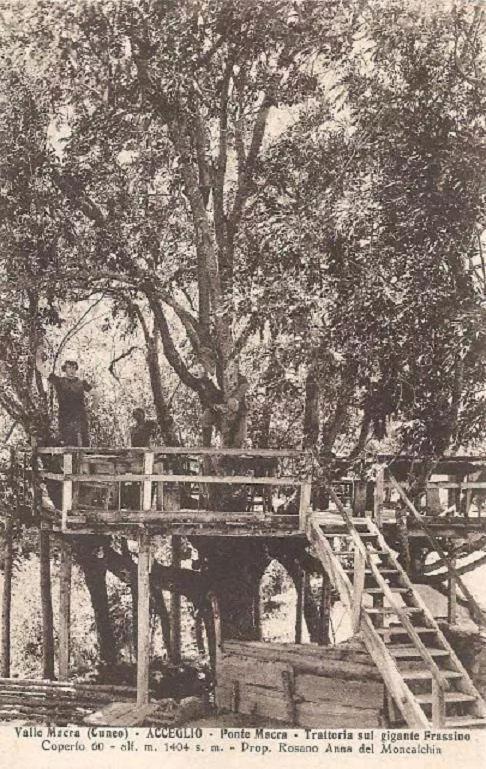 La Casa Del Gigante Frassino Daire Acceglio Dış mekan fotoğraf